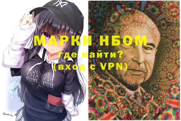 дмт Бородино