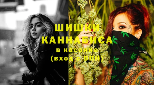 дмт Бородино