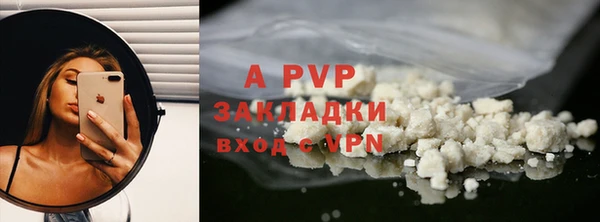 дмт Бородино