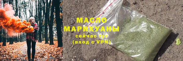 дмт Бородино