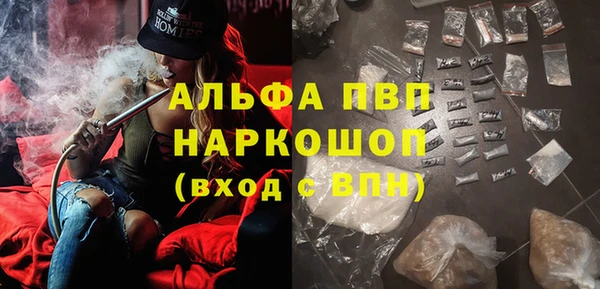 дмт Бородино