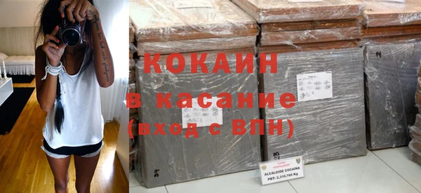 дмт Бородино