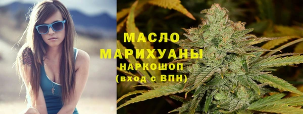 дмт Бородино
