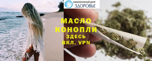 дмт Бородино