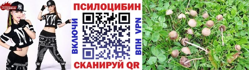 МЕГА ССЫЛКА  сколько стоит  Волжский  Псилоцибиновые грибы MAGIC MUSHROOMS 
